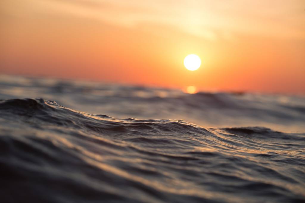Foto di Pexels da Pixabay