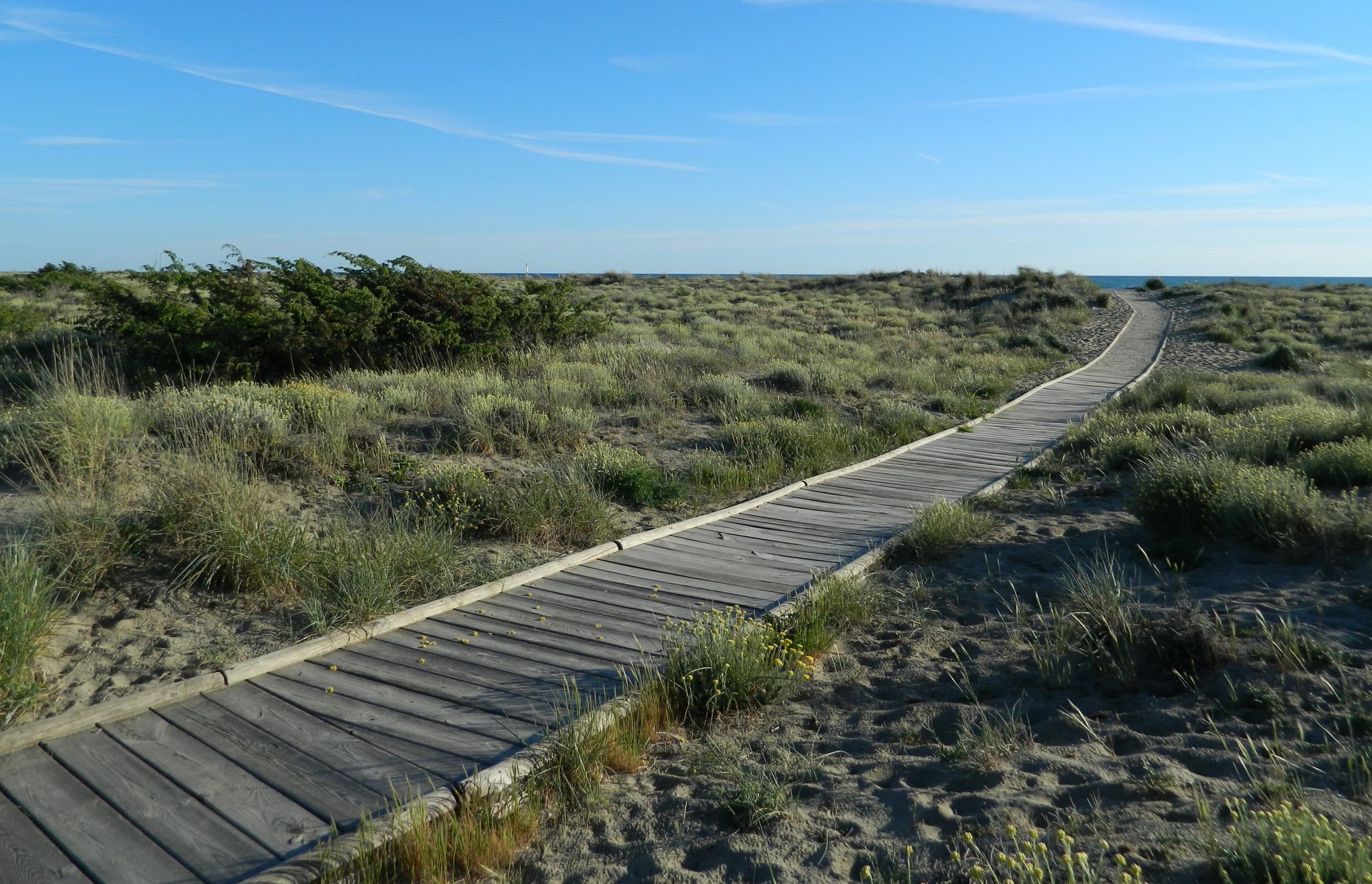 Ciclovia tra le dune: la risposta di Legambiente