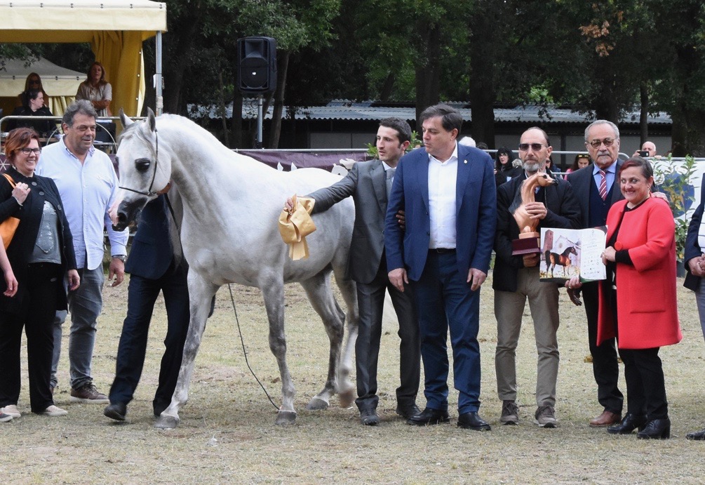 In duemila per l’arte del cavallo in Versiliana
