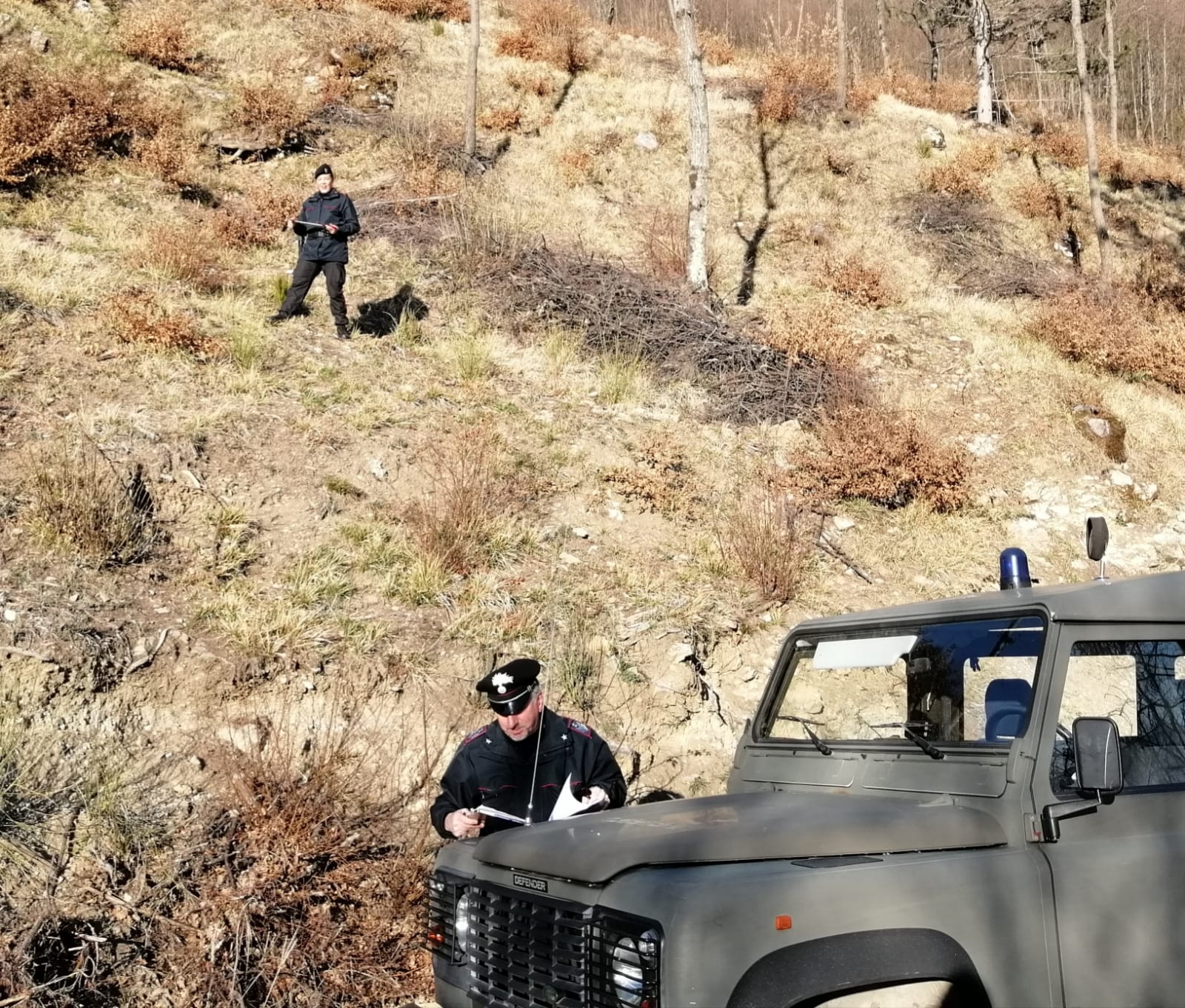 I Carabinieri Forestali bloccano un taglio abusivo
