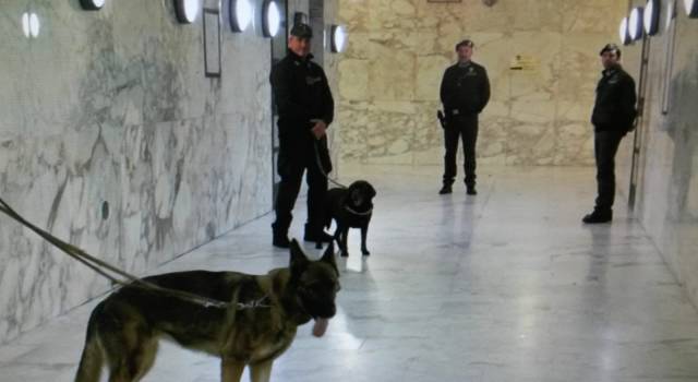 Stazione di Viareggio e lungomare di Torre del Lago al setaccio della GdF: in azione i cani Fagas e Mezzanotte