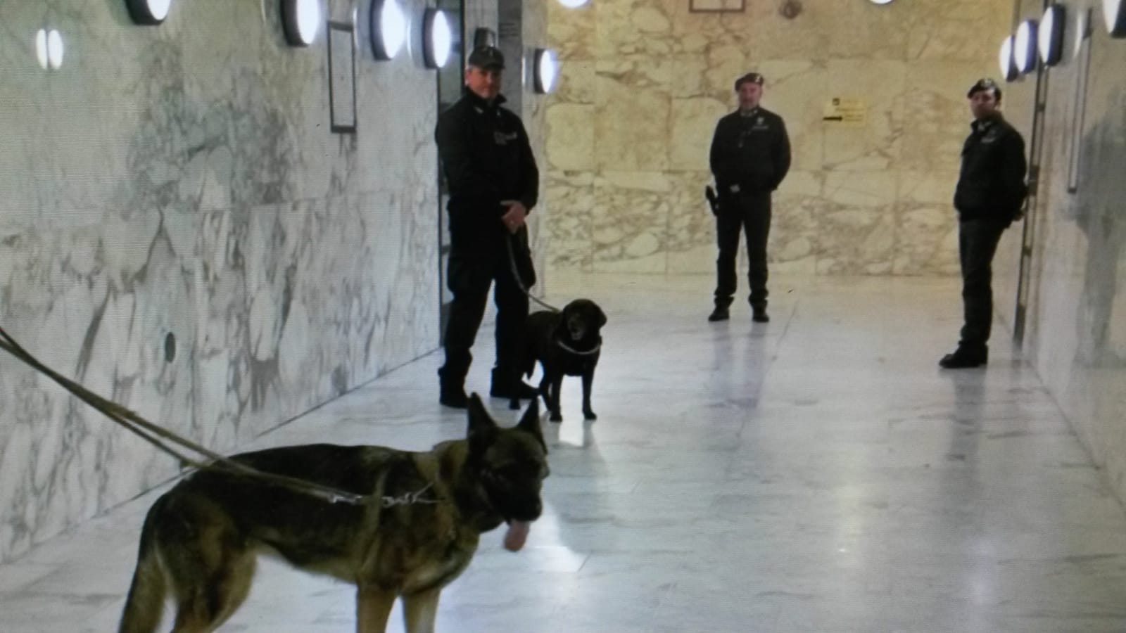 Stazione di Viareggio e lungomare di Torre del Lago al setaccio della GdF: in azione i cani Fagas e Mezzanotte