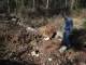 Tagli boschivi in grave difformità e piste di esbosco senza autorizzazione, scattano le denunce: sanzioni per 100mila euro