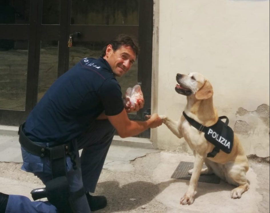 Addio a Mexy: la labrador poliziotta