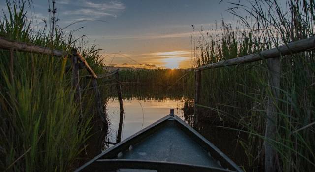 Pescatori di frodo nel lago di Massaciuccoli, multa e sequestro