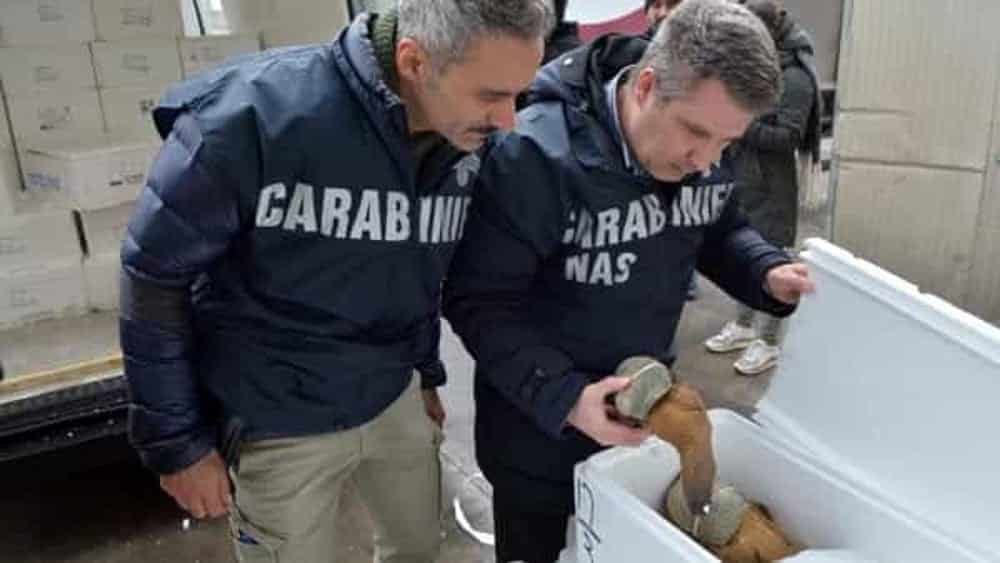 I Nas in Versilia: sanzionati un ristorante a Forte dei Marmi e un cantiere edile a Camaiore