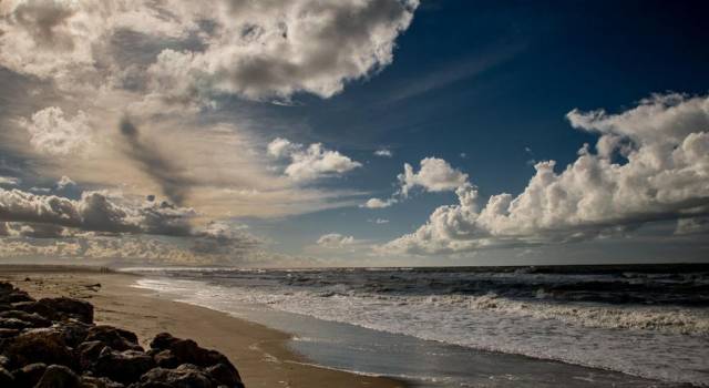 Materiale vegetale sulla spiaggia, il Consorzio chiede la collaborazione dei balneari: &#8220;Subito verificata la segnalazione, nessun cumulo trovato. Invitiamo i balneari a dirci in tempo reale la presenza di materiale&#8221;