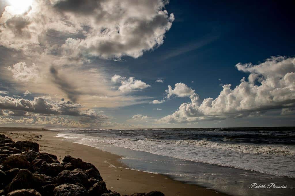 Materiale vegetale sulla spiaggia, il Consorzio chiede la collaborazione dei balneari: “Subito verificata la segnalazione, nessun cumulo trovato. Invitiamo i balneari a dirci in tempo reale la presenza di materiale”