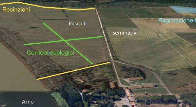 La pianura pisana risponde ai cambiamenti climatici