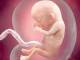Abortire al “Versilia”: sono solo due i medici non obiettori di coscienza