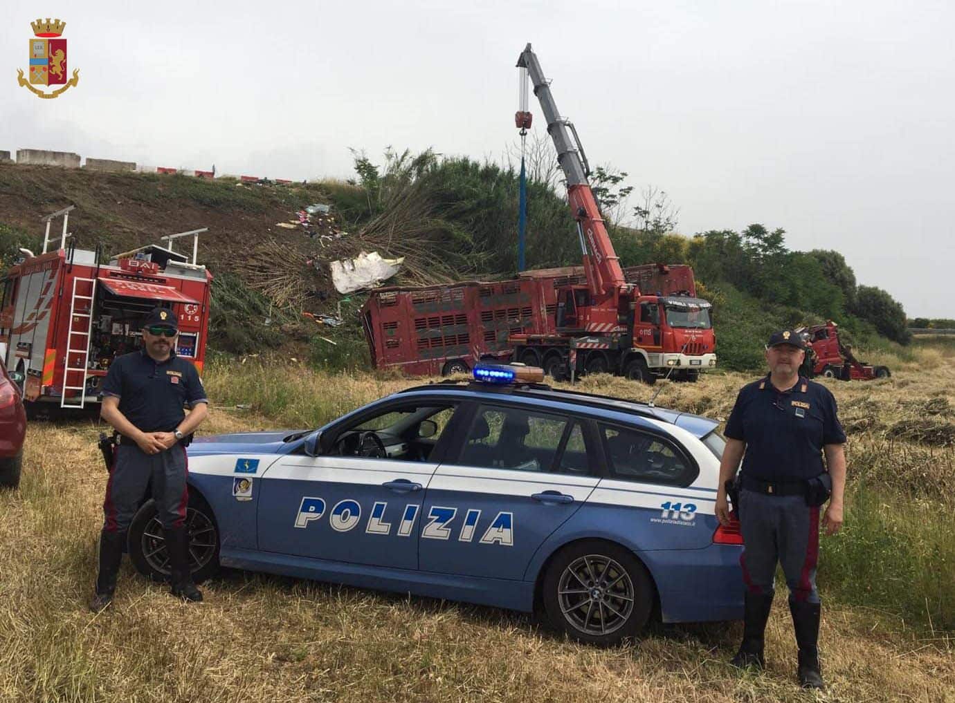 Camion carico di vitelli si rovescia vicino Gavorrano: quelli sopravvissuti sono scappati nei campi