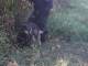 IMG 20190601 WA0007