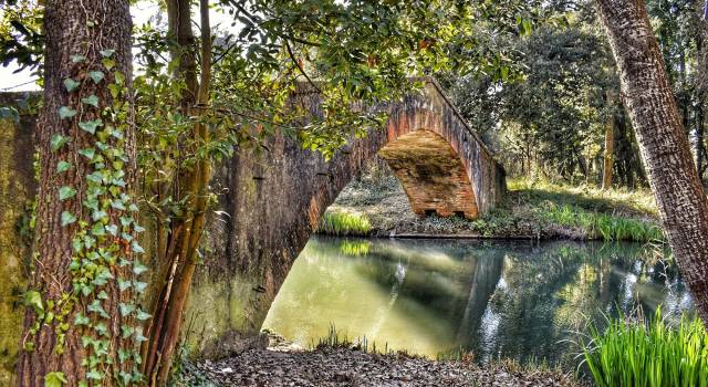 Il ponte del principe