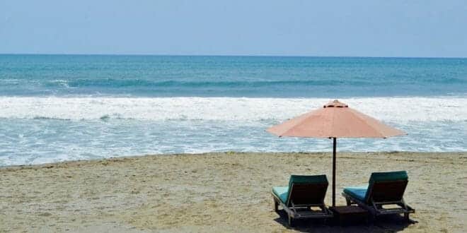 Nudi in spiaggia con il cane? Si rischia la doppia multa!