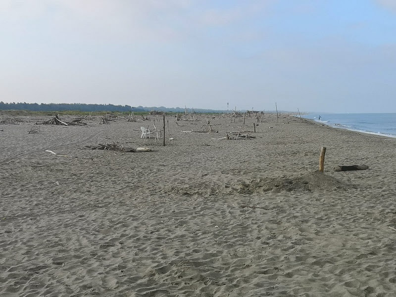 Giacigli abusivi sulla spiaggia del Parco, rimosse 30 strutture dalla Bufalina a Bocca del Serchio