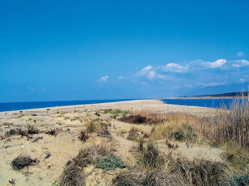 Pulizia della penisola dei gabbiani: a Bocca di Serchio per aiutare l’ambiente, come partecipare