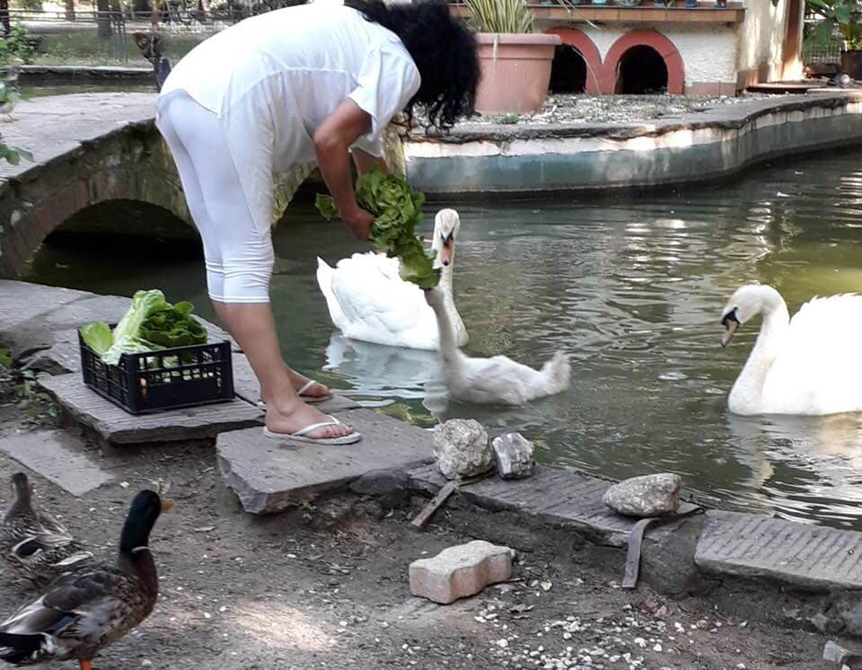 Laghetto dei Cigni, la solidarietà a Nadia Cupisti da Alessandro Santini e Gianmarco Romanini