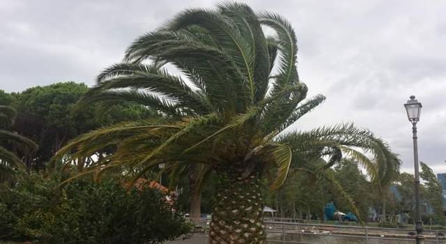 Vento di grecale, è allerta meteo regionale