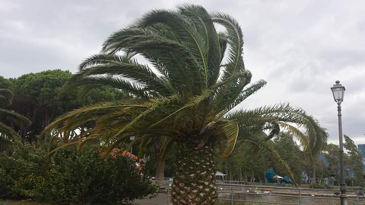 Vento forte, codice giallo prolungato per tutta la giornata di lunedì 20 gennaio