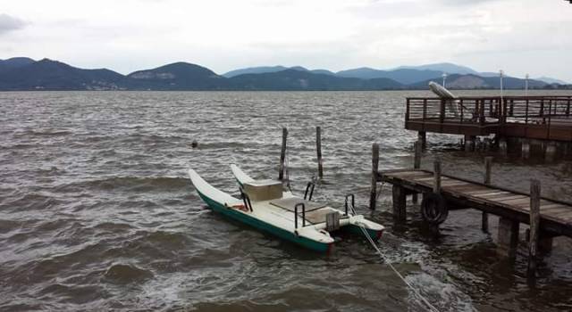 Maltempo a Viareggio,  la pioggia intensa fa alzare il Massaciuccoli