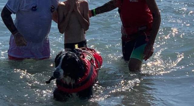 I cani bagnino salvano in mare a Forte dei Marmi due persone
