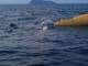 IMG 20190722 WA0043