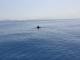 IMG 20190731 WA0015