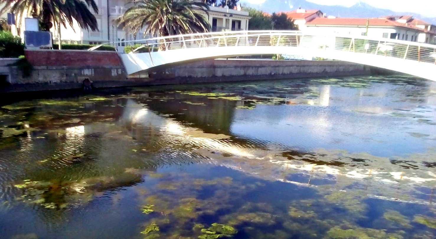 Alghe nella fossa dell’Abate, Dondolini: “Evitare l’emergenza in piena estate”
