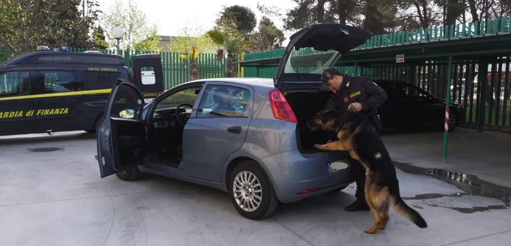 Arrestato dalle Fiamme Gialle viareggine a Pietrasanta, aveva 150 grammi di cocaina