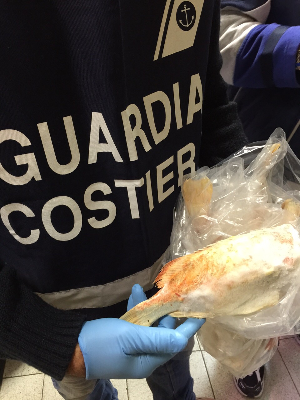 Attività di controllo di Guardia Costiera e Usl, chiuso un ristorante al Calambrone