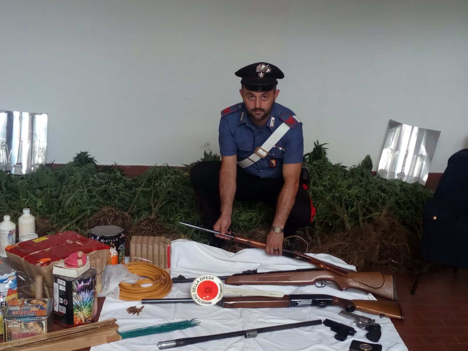 Coltivazioni di “cannabis sativa”, 3 arresti