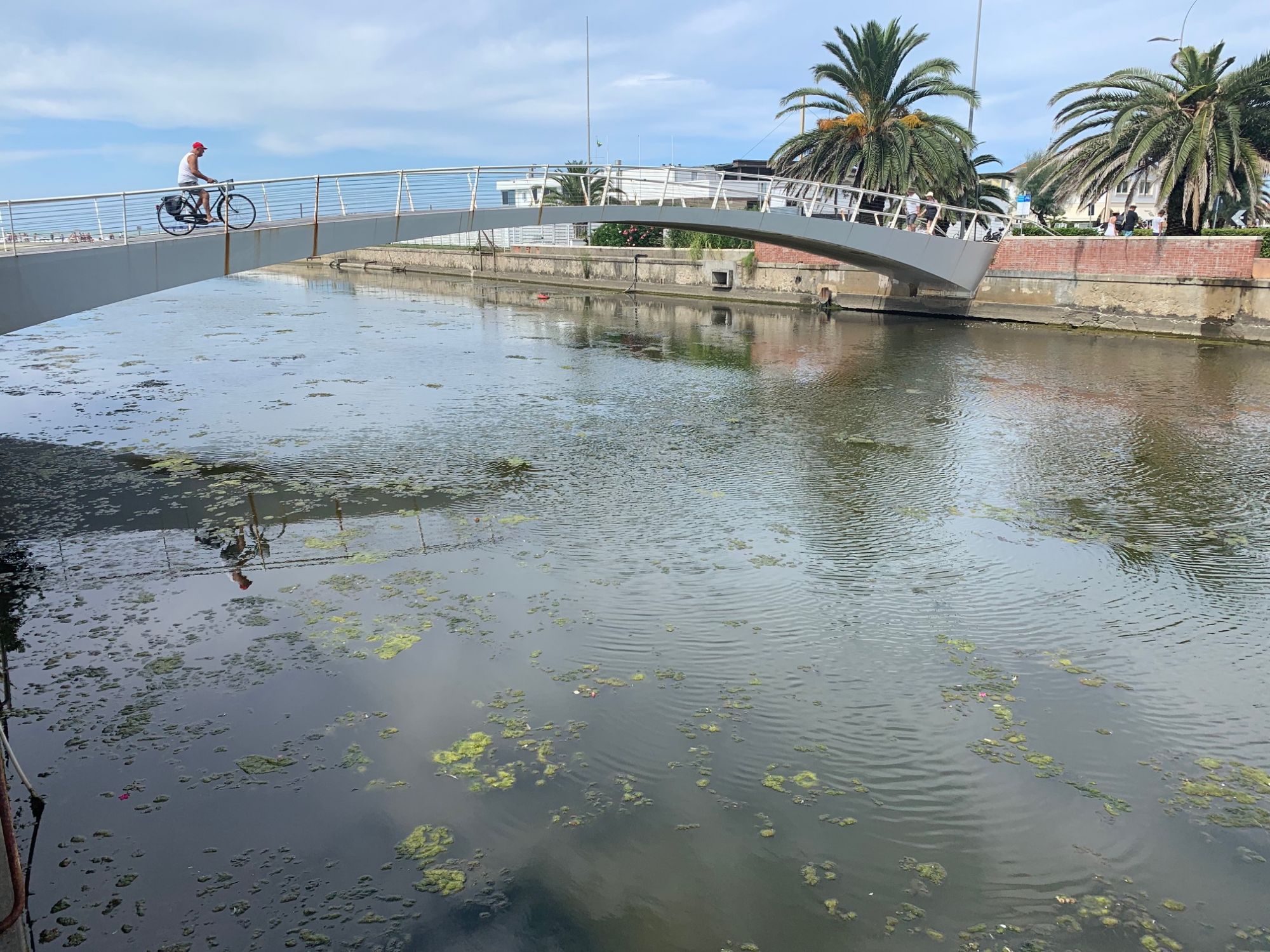 Via le alghe dalla Fossa dell’Abate: e tre!