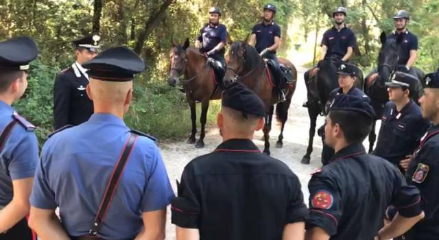 Pinete sicure, a Viareggio arrivano i Carabinieri a cavallo