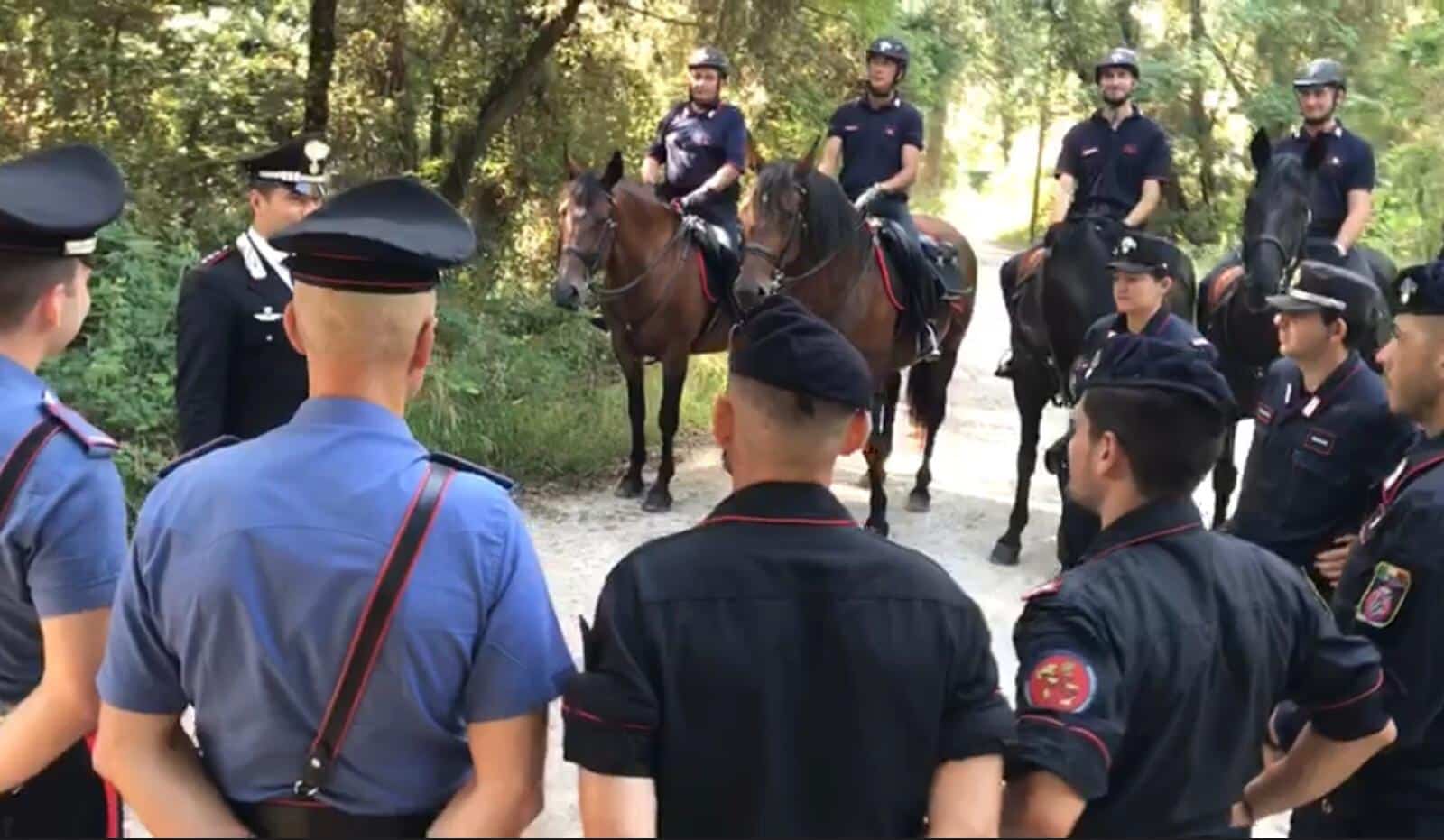 Pinete sicure, a Viareggio arrivano i Carabinieri a cavallo