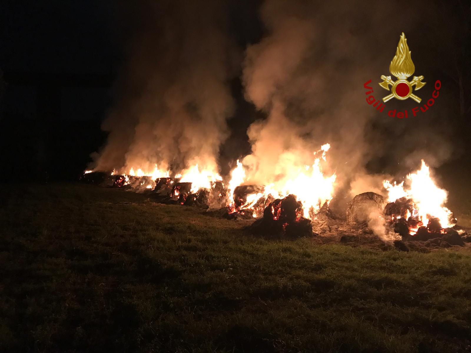 50 rotoballe a fuoco, i pompieri scongiurano che un bosco vicino vada in cenere