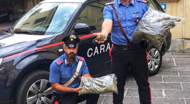 Pubblicizza on line la vendita di cannabis, arrestato