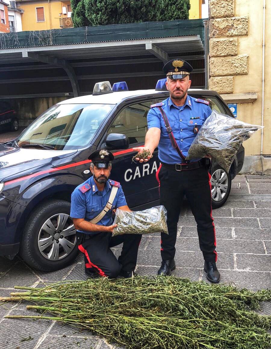 Pubblicizza on line la vendita di cannabis, arrestato