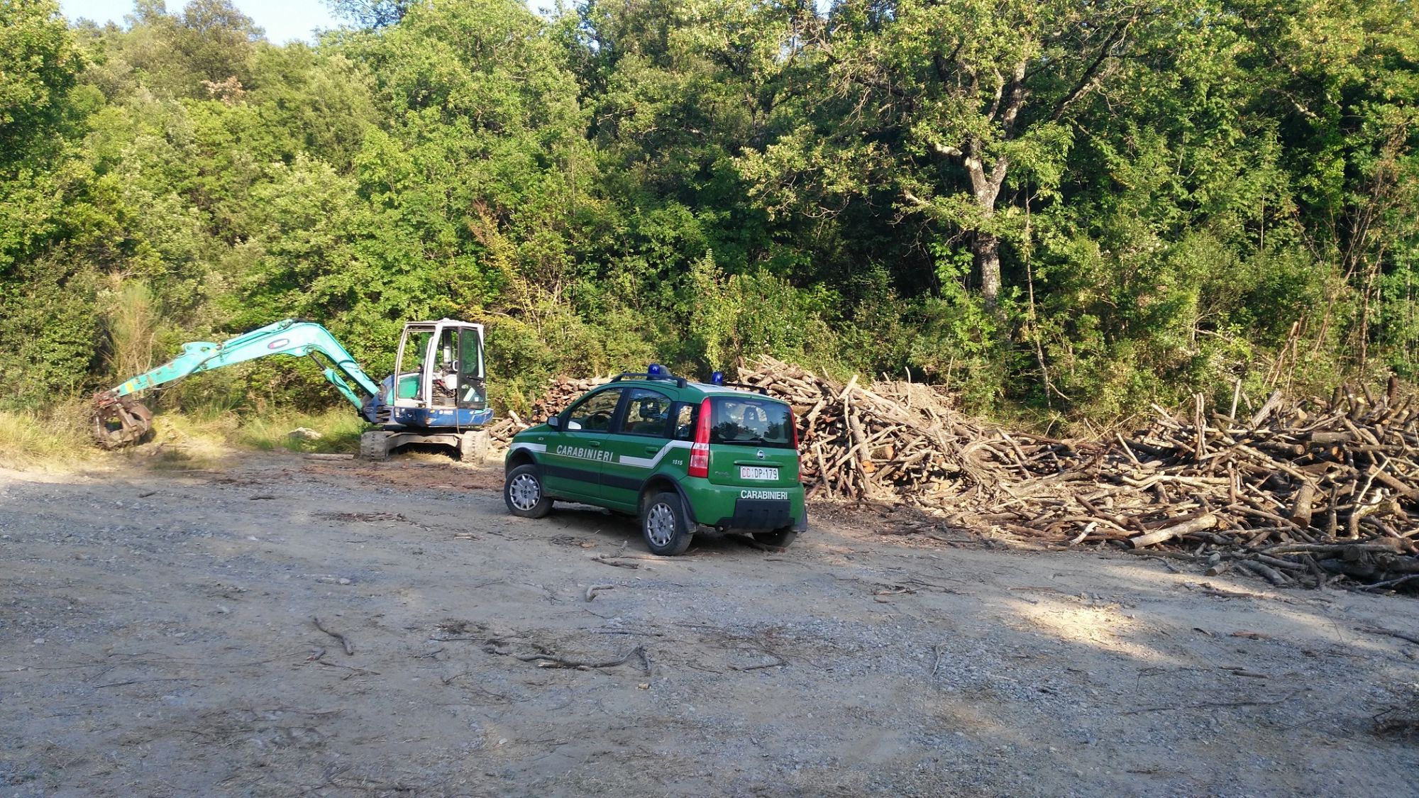 Tagli boschivi con lavoratori non in regola col permesso di soggiorno: denunce e sanzioni