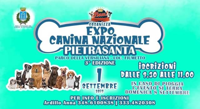 In Versiliana l&#8217;expo canina: appuntamento domenica 1 settembre