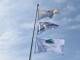 Le bandiere delle ‘Spiagge del Parco’ sventolano sui 30 chilometri di costa da Viareggio a Calambrone