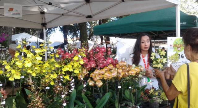 Murabilia: Dagli attrezzi giganti, ai giardini effimeri; dalle orchidee giapponesi alla mostra di Aspidistre, fino alle tante curiosità botaniche