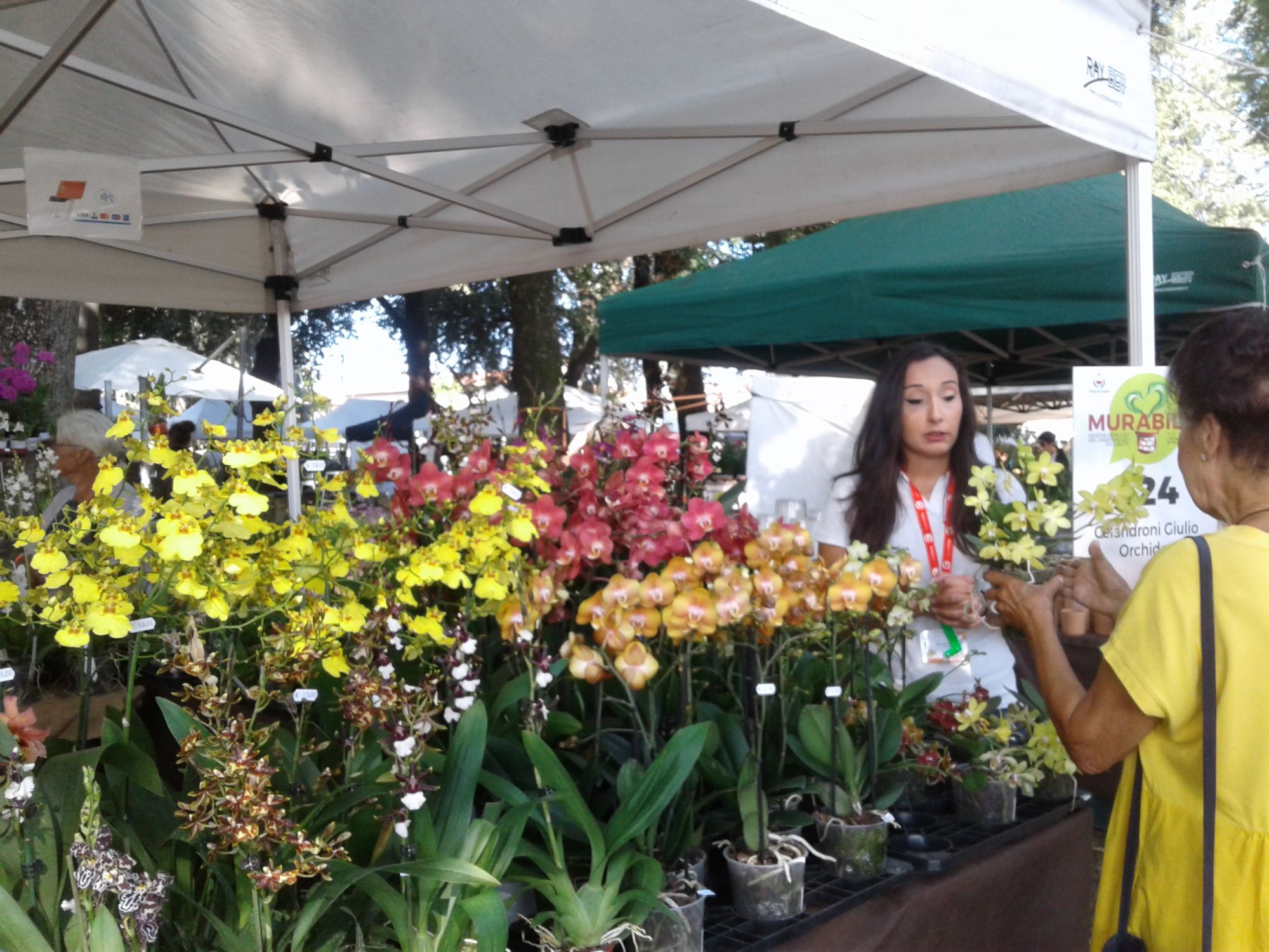 Murabilia: Dagli attrezzi giganti, ai giardini effimeri; dalle orchidee giapponesi alla mostra di Aspidistre, fino alle tante curiosità botaniche