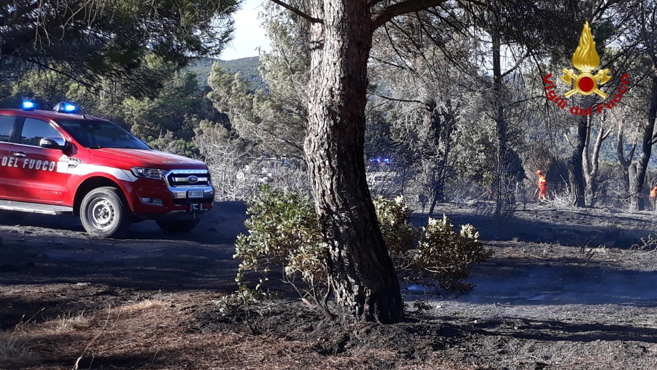 Incendio boschivo nel livornese, un ettaro in cenere