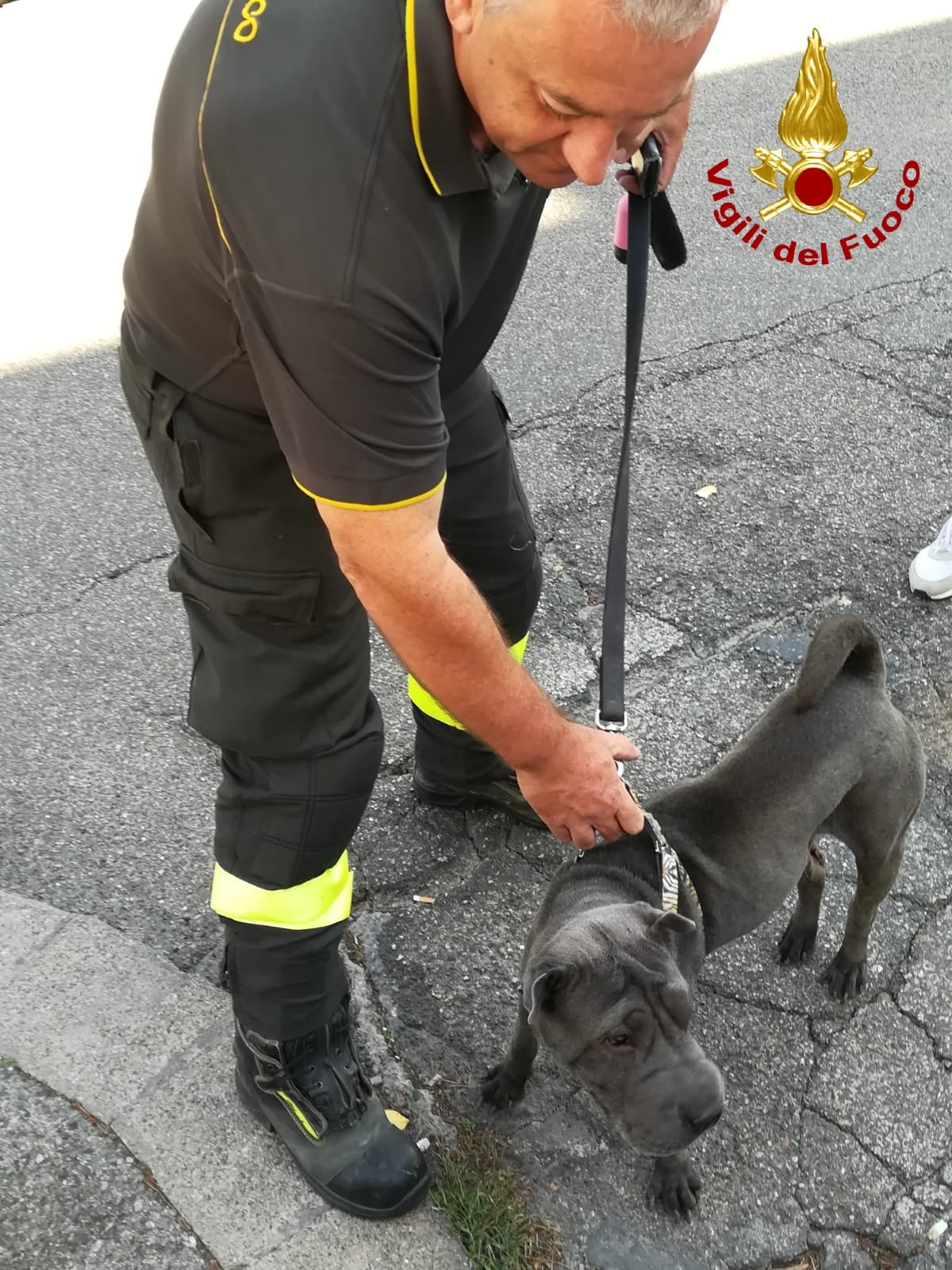 IMG 20190920 WA0035