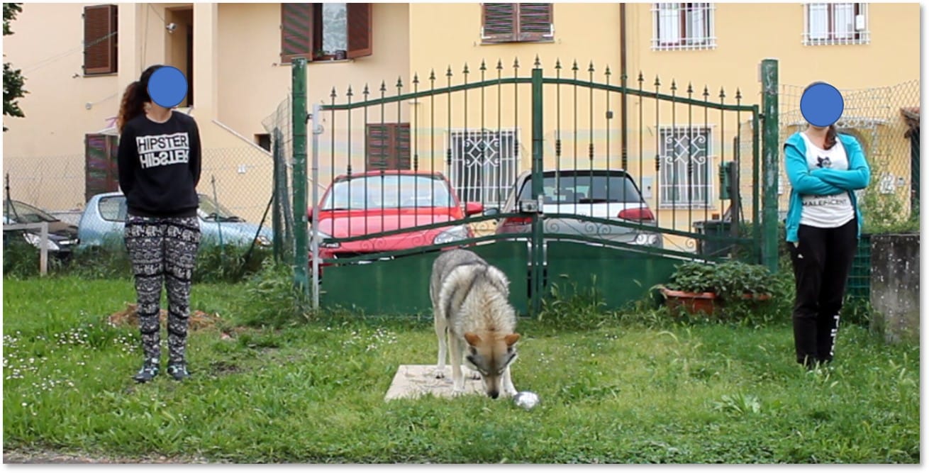 Immagine3
