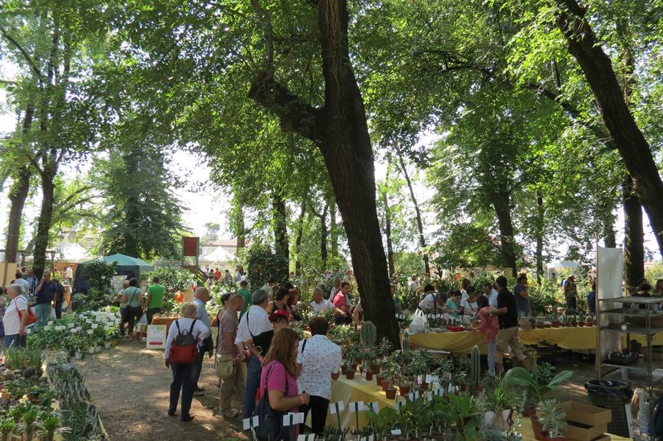 Sguardi a Oriente: Giappone. Murabilia a Lucca dal 6 all’8 settembre il meglio del giardinaggio internazionale