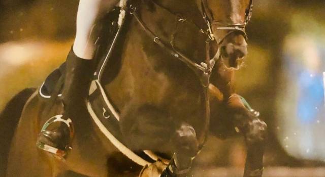 Equitazione: ancora alla ribalta l’amazzone Francesca Rosi