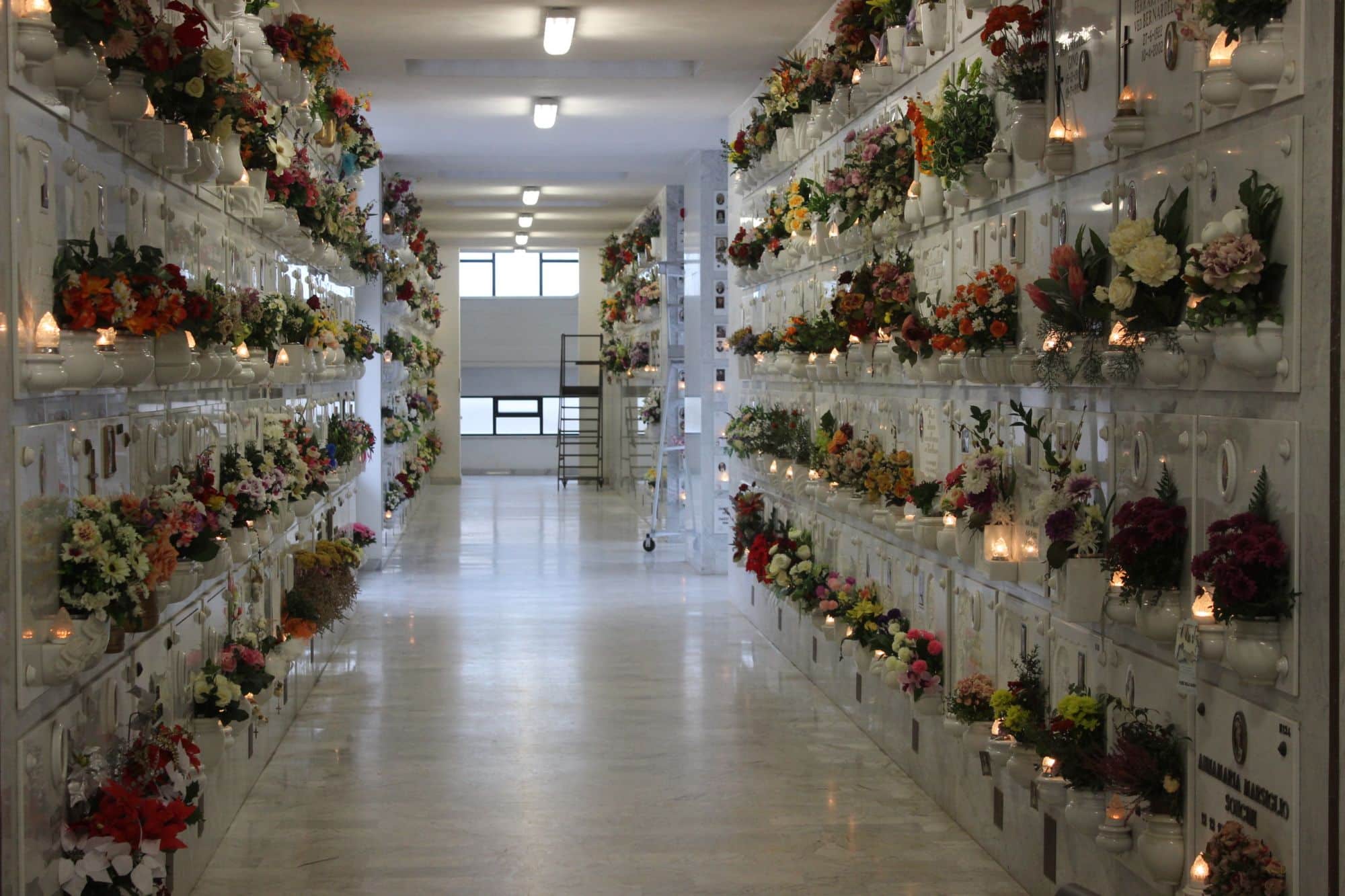 Scippata al cimitero cade si fa male a un ginocchio: caccia aperta al ladro