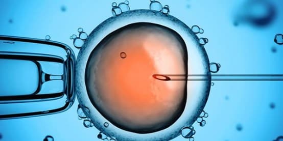 Procreazione medicalmente assistita, la Toscana modifica alcuni requisiti