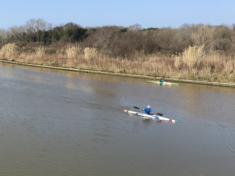 Da Pisa a Livorno in canoa lungo i Navicelli